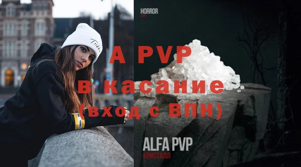 гидра Алексин