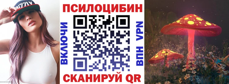 Галлюциногенные грибы Psilocybine cubensis Котово