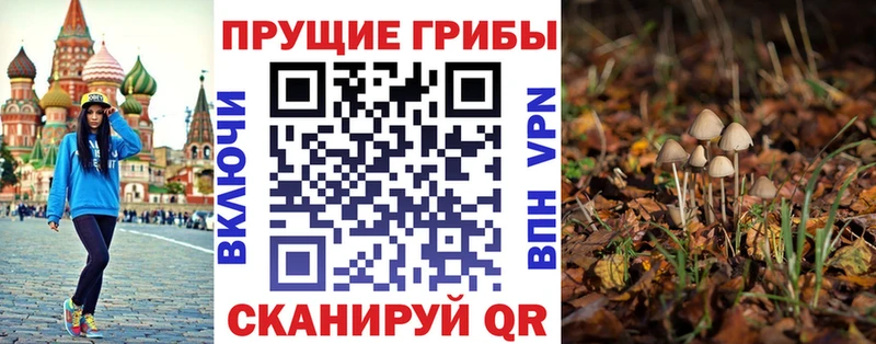 Галлюциногенные грибы MAGIC MUSHROOMS  купить наркотик  Котово 